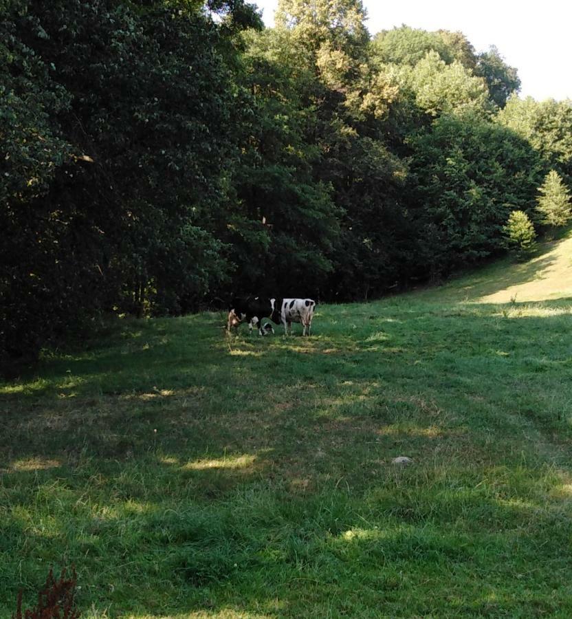 Landpension Haupt Sebnitz Zewnętrze zdjęcie