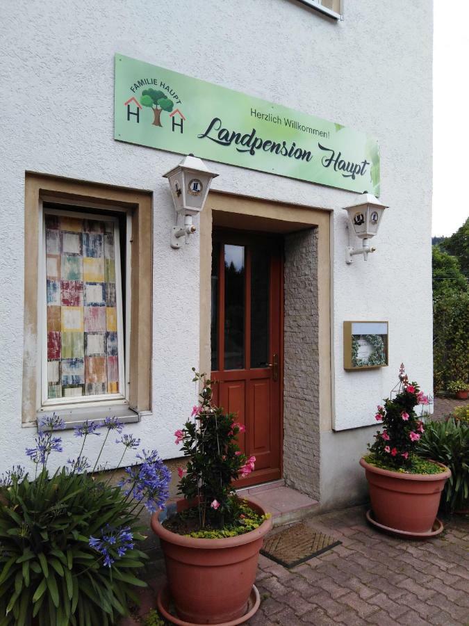 Landpension Haupt Sebnitz Zewnętrze zdjęcie