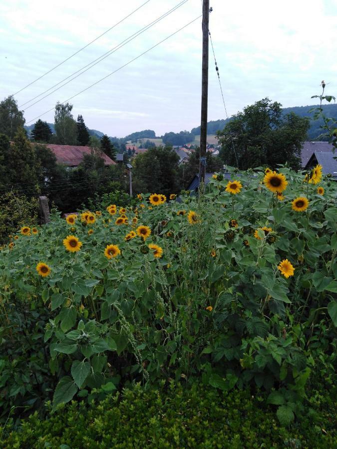 Landpension Haupt Sebnitz Zewnętrze zdjęcie